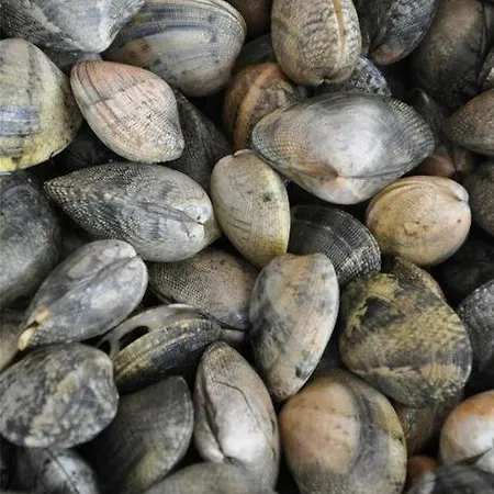 Appartamento La Petite Maison De Lucas Pêra